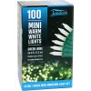 100 Clear White Christmas Lights Set
