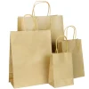 100pcs Christmas Gift Bags in Assorted Sizes
