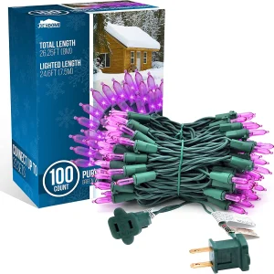100 LED Purple Christmas String Lights