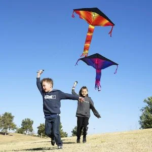 3Pcs Delta Rainbow Kite