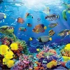 2in1 1000 Pcs Sea Turtle Jigsaw Puzzles