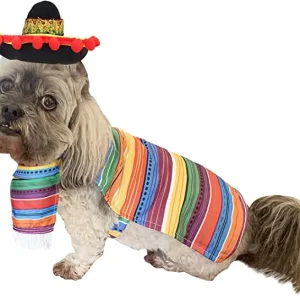Cinco de Mayo Pet Costume for Dogs