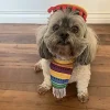 Cinco de Mayo Pet Costume for Dogs