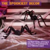 2pcs Halloween Realistic Hairy Spider Set