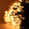 4x100 Clear Christmas Lights with Green Wire