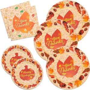 Thanksgiving Disposable Dinnerware Set for 48 guests