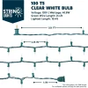 100 Clear White Christmas Lights Set