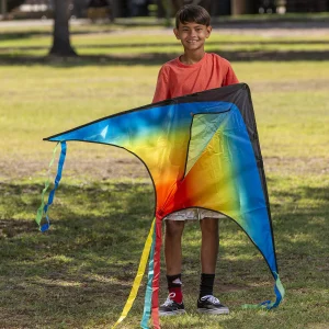 262.5ft String Large Delta Rainbow Kite