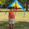 262.5ft String Large Delta Multicolor Kite