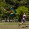 262.5ft String Large Delta Multicolor Kite