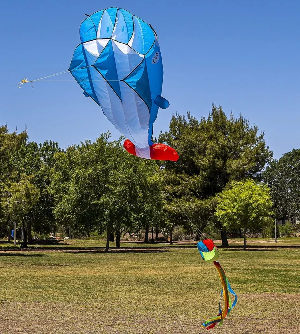 Large 3D Kite
