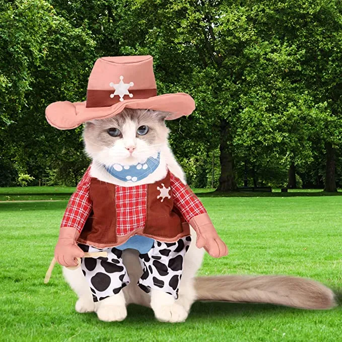 Meihejia Halloween Cat Cowboy Costume Hat Funny