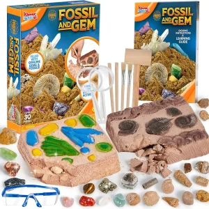 30pcs Fossil and Gemstone Dig Kit