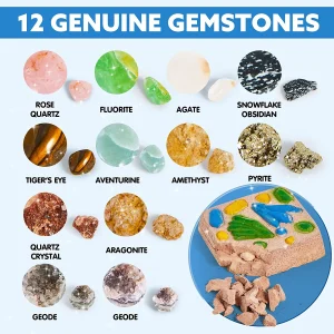 30pcs Fossil and Gemstone Dig Kit