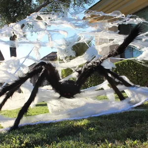 Triangular Halloween Spider Web with Giant Spider Set
