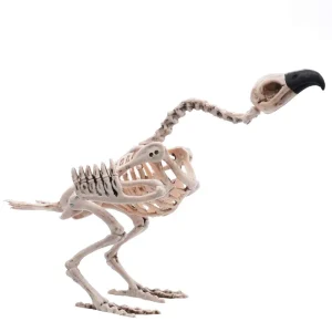 Halloween Posable Vulture Skeleton Decoration 16in