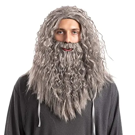 Mens Halloween Wizard Grey Wig with Beard