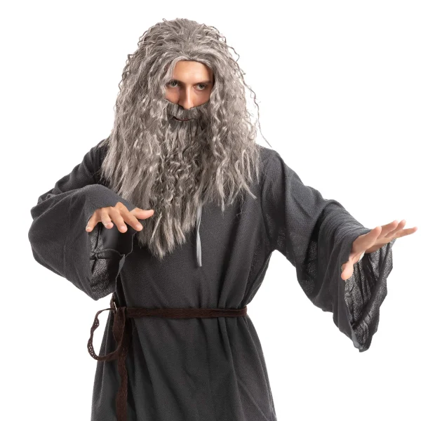 Mens Halloween Wizard Grey Wig with Beard