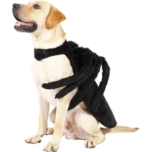 Dogs And Cats Halloween Spider Costume