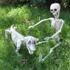 Posable Plastic Dog Skeleton Decoration 23in