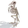 Posable Plastic Raven Skeleton Decoration 12.5in