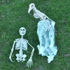 Posable Plastic Raven Skeleton Decoration 12.5in