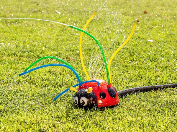 Spinning Ladybug and Spray Water Sprinkler