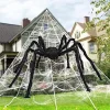 Triangular Halloween Spider Web with Giant Spider Set