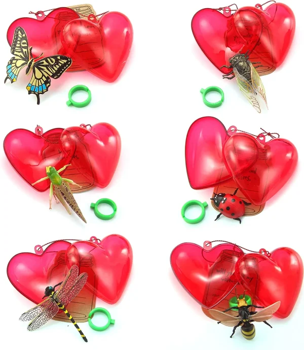 28Pcs Prefilled Hearts with Insects Rings and Valentines Day Cards