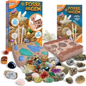 Fossil And Gemstones Dig Kit – KLEVER KITS