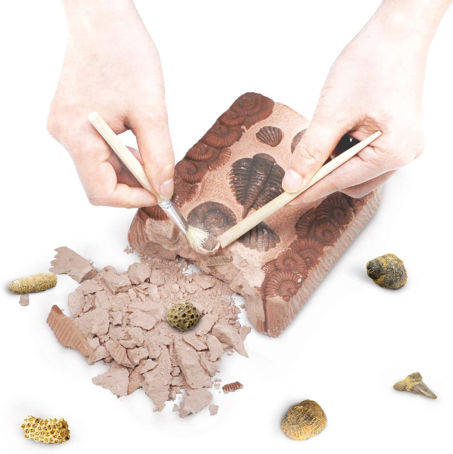 Fossil And Gemstones Dig Kit – KLEVER KITS