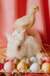Read more about the article 4 Ways You Can Find the Perfect Easter Decorations for Your Home
