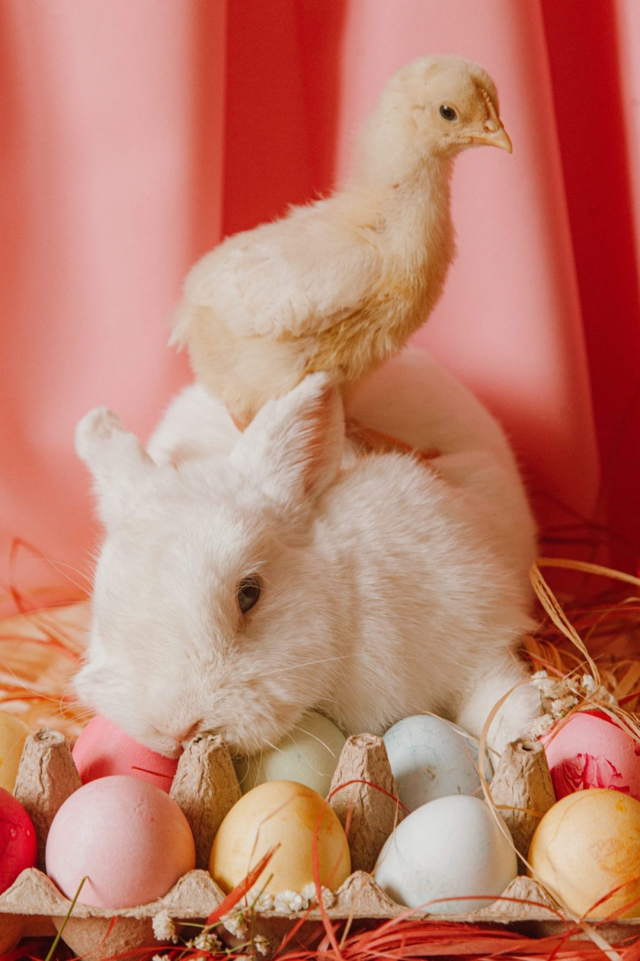 You are currently viewing 4 Ways You Can Find the Perfect Easter Decorations for Your Home