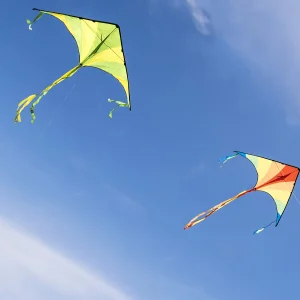 2pcs Green and Rainbow Large Delta Kite