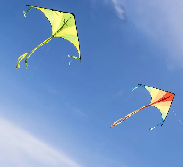 2pcs Green and Rainbow Large Delta Kite