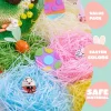 Easter Grass 6 Colors Recyclable Paper Shred 12Oz