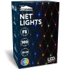 100 Warm White LED Christmas Net Lights