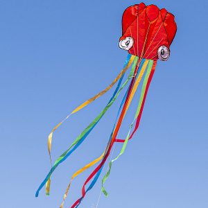 Red Octopus Kite