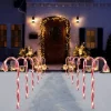 12pcs Christmas Candy Cane Pathway 17in