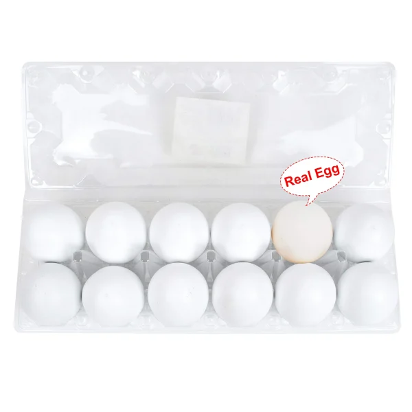 12Pcs White Fake Wooden Eggs