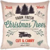 Christmas Buffalo Pillow Covers 18in