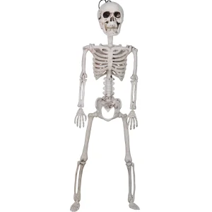 2pcs Skeleton Posable Halloween Decoration 24in
