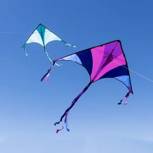 2pcs Blue and Purple Large Delta Kite