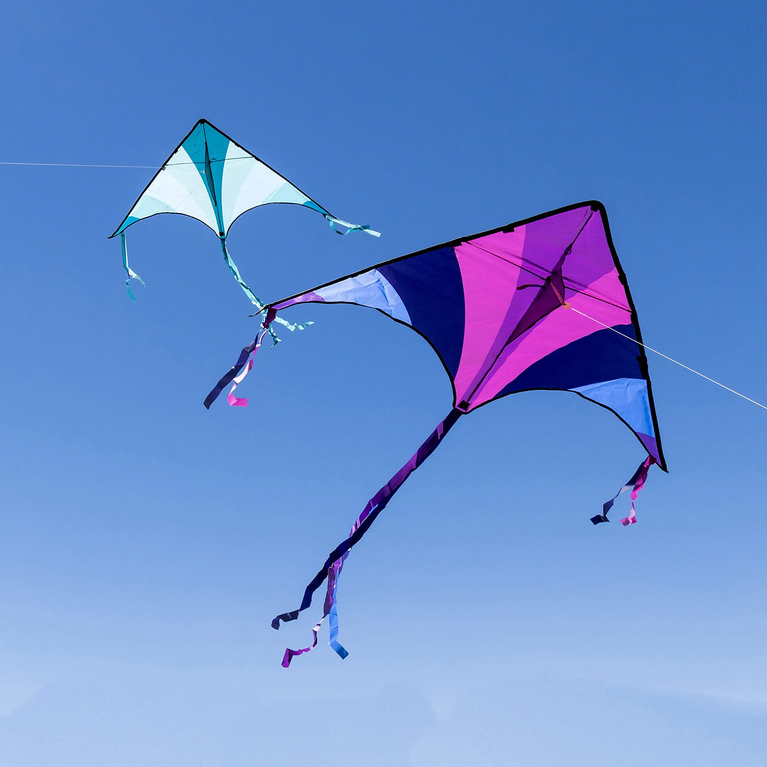Best 2pcs Blue and Purple Large Delta Kite