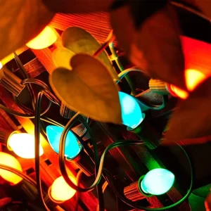 2×25 LED C7 Multicolor Led String Lights