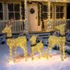 3pcs LED Warm White Christmas Reindeer