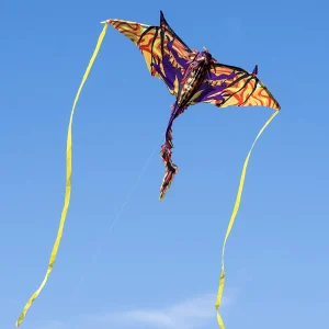 1Pcs 3D Dragon Kite with Tail