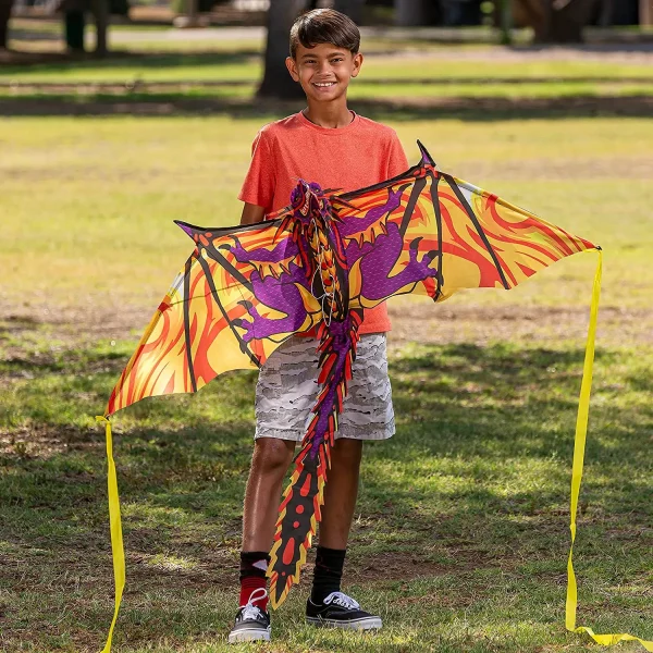 52.5in Giant 3D Dragon Kite with Tail