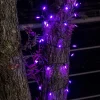 50-Count Purple LED String Lights  17.3ft