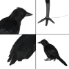 6pcs Halloween Crow Decorations